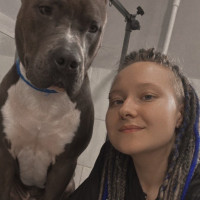 Колесникова Дарья